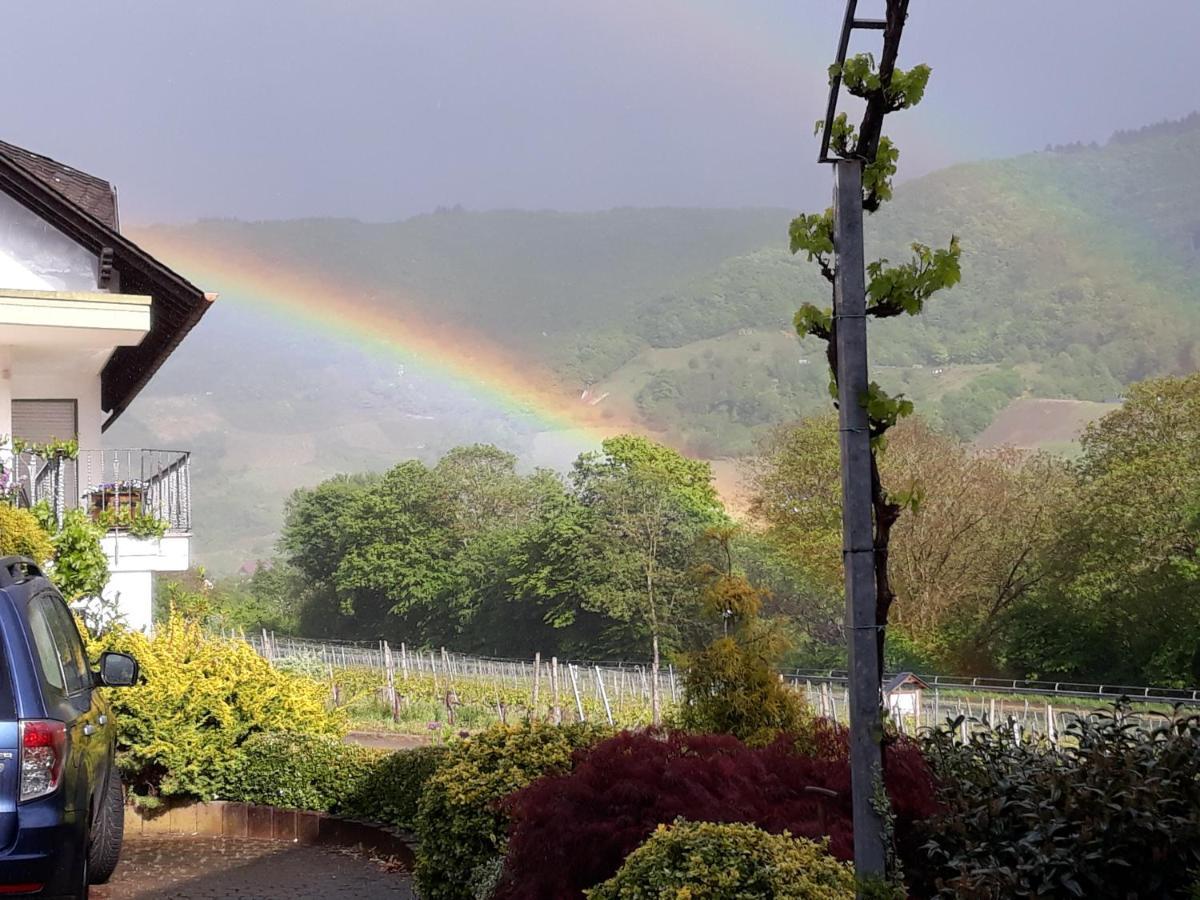 Ferienweingut-Liebfried Hotel Nehren  Eksteriør billede