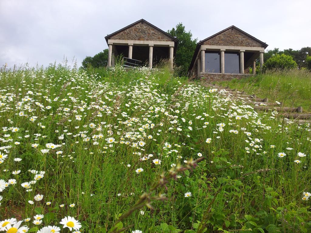 Ferienweingut-Liebfried Hotel Nehren  Eksteriør billede