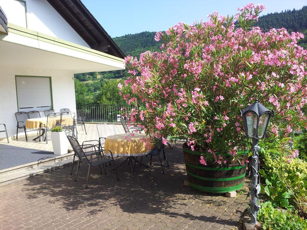 Ferienweingut-Liebfried Hotel Nehren  Eksteriør billede