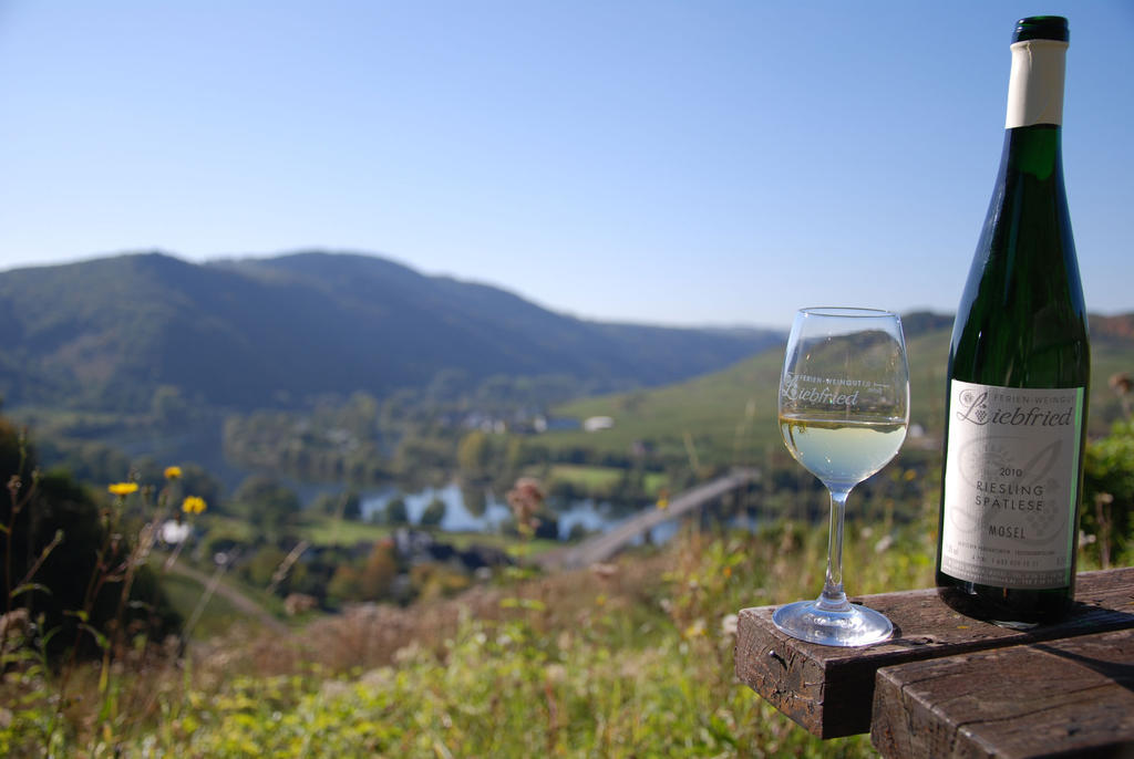 Ferienweingut-Liebfried Hotel Nehren  Eksteriør billede