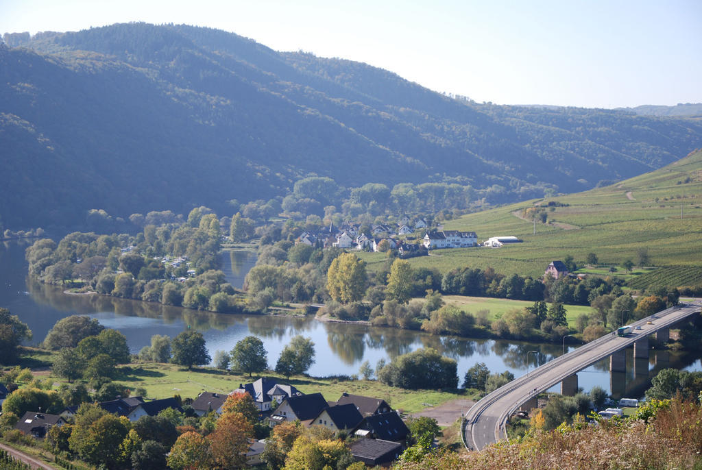 Ferienweingut-Liebfried Hotel Nehren  Eksteriør billede