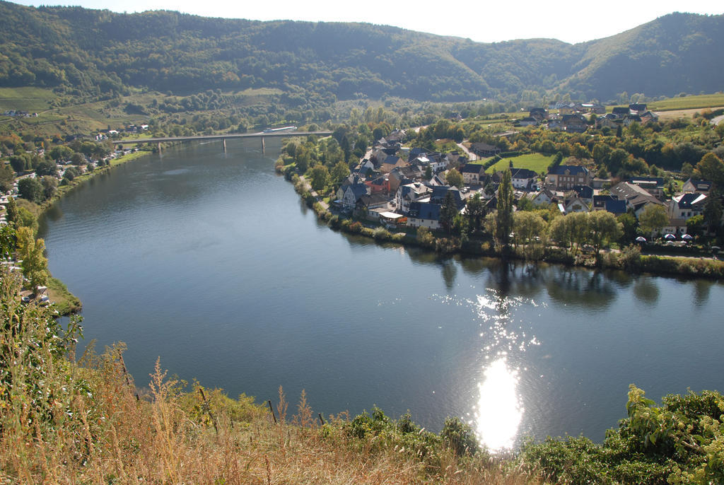 Ferienweingut-Liebfried Hotel Nehren  Eksteriør billede