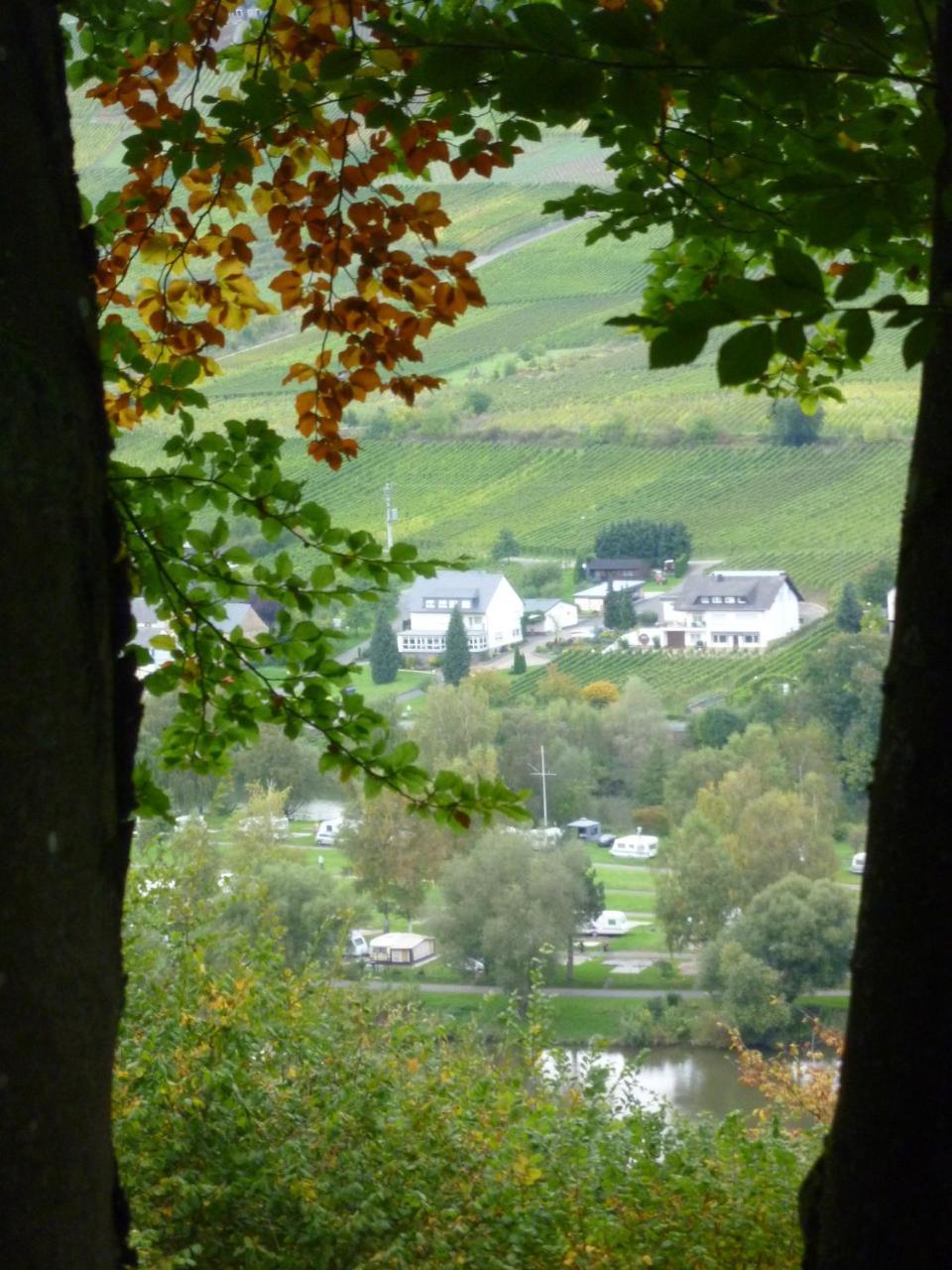 Ferienweingut-Liebfried Hotel Nehren  Eksteriør billede